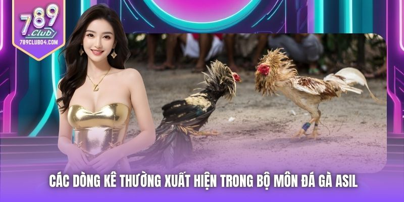 Các dòng kê thường xuất hiện trong bộ môn đá gà Asil