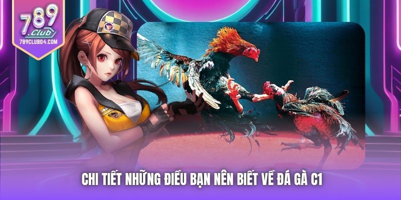 Chi tiết những điều bạn nên biết về đá gà C1