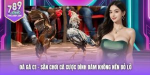 Đá Gà C1 - Sân Chơi Cá Cược Đình Đám Không Nên Bỏ Lỡ