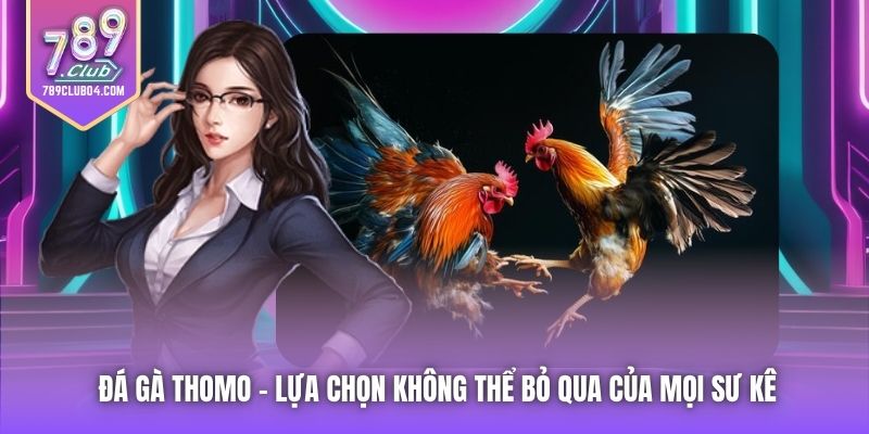 Đá Gà Thomo - Lựa Chọn Không Thể Bỏ Qua Của Mọi Sư Kê