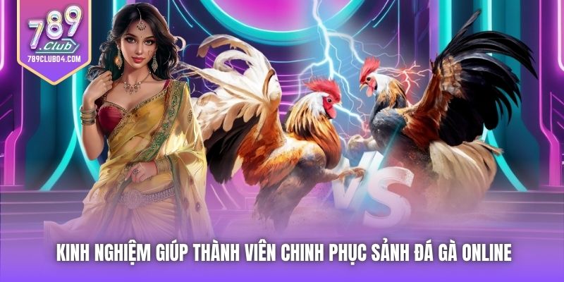 Kinh nghiệm giúp thành viên chinh phục sảnh Đá Gà Online
