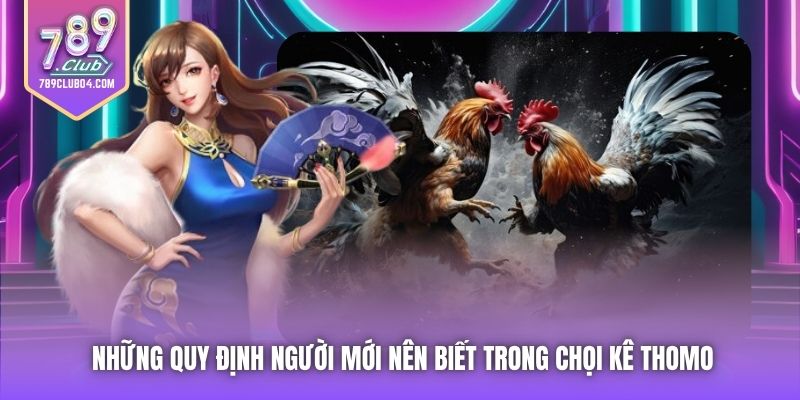 Những quy định người mới nên biết trong chọi kê Thomo