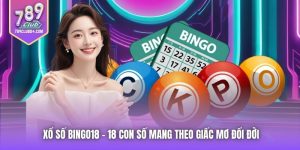 Xổ Số Bingo18 - 18 Con Số Mang Theo Giấc Mơ Đổi Đời